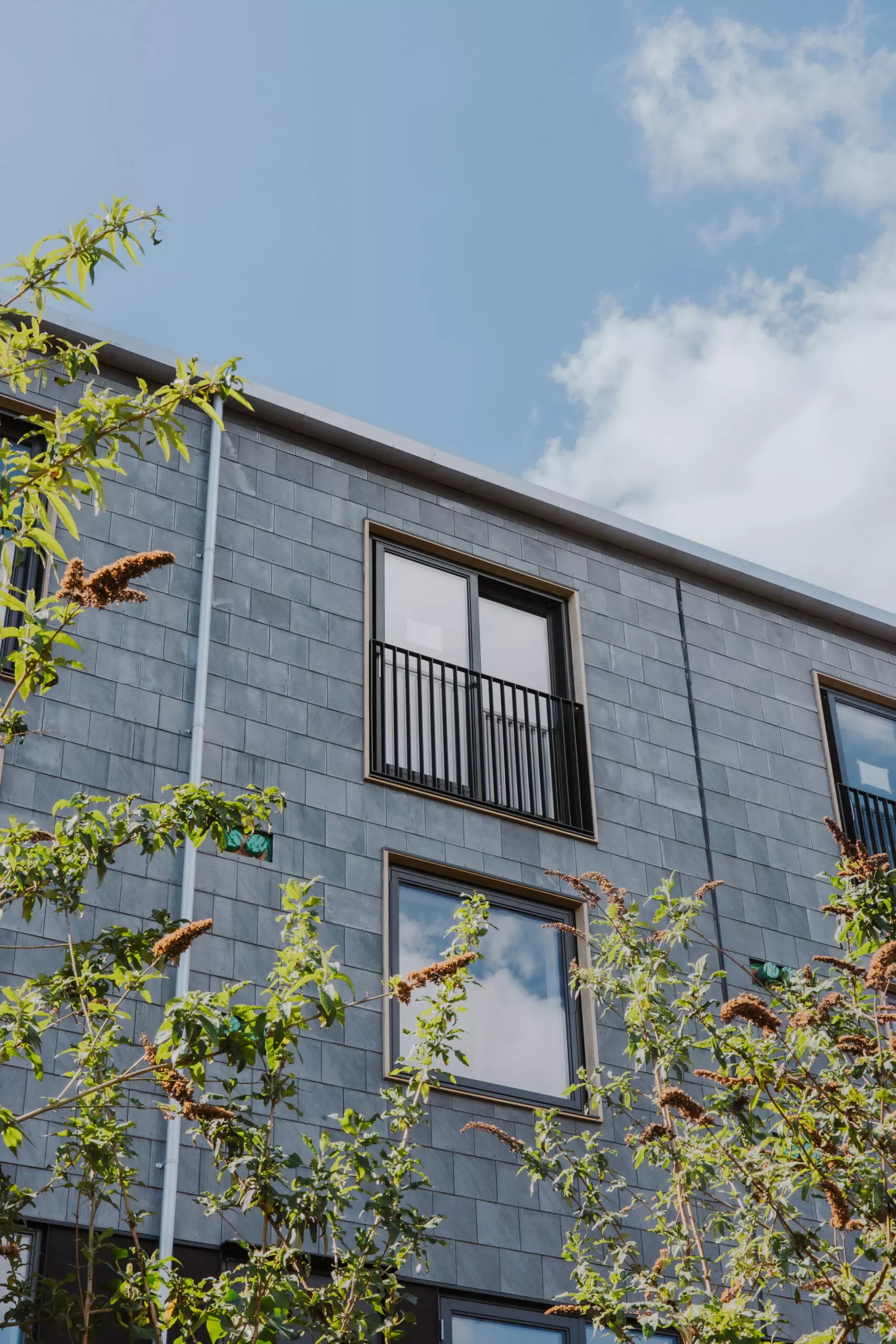Citu - Sustainable New Build Homes For Sale in Yorkshire