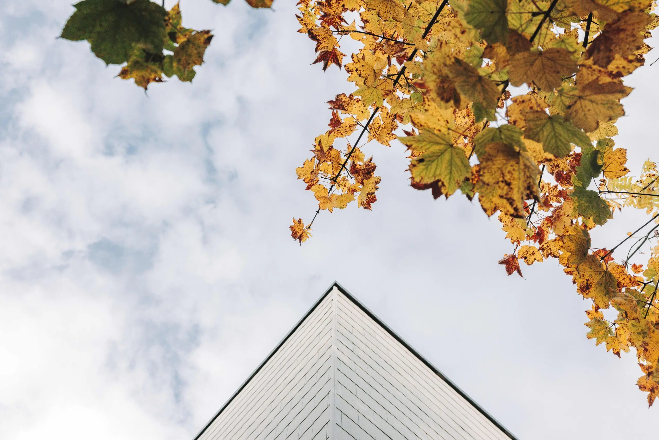 Citu - Sustainable New Build Homes For Sale in Yorkshire