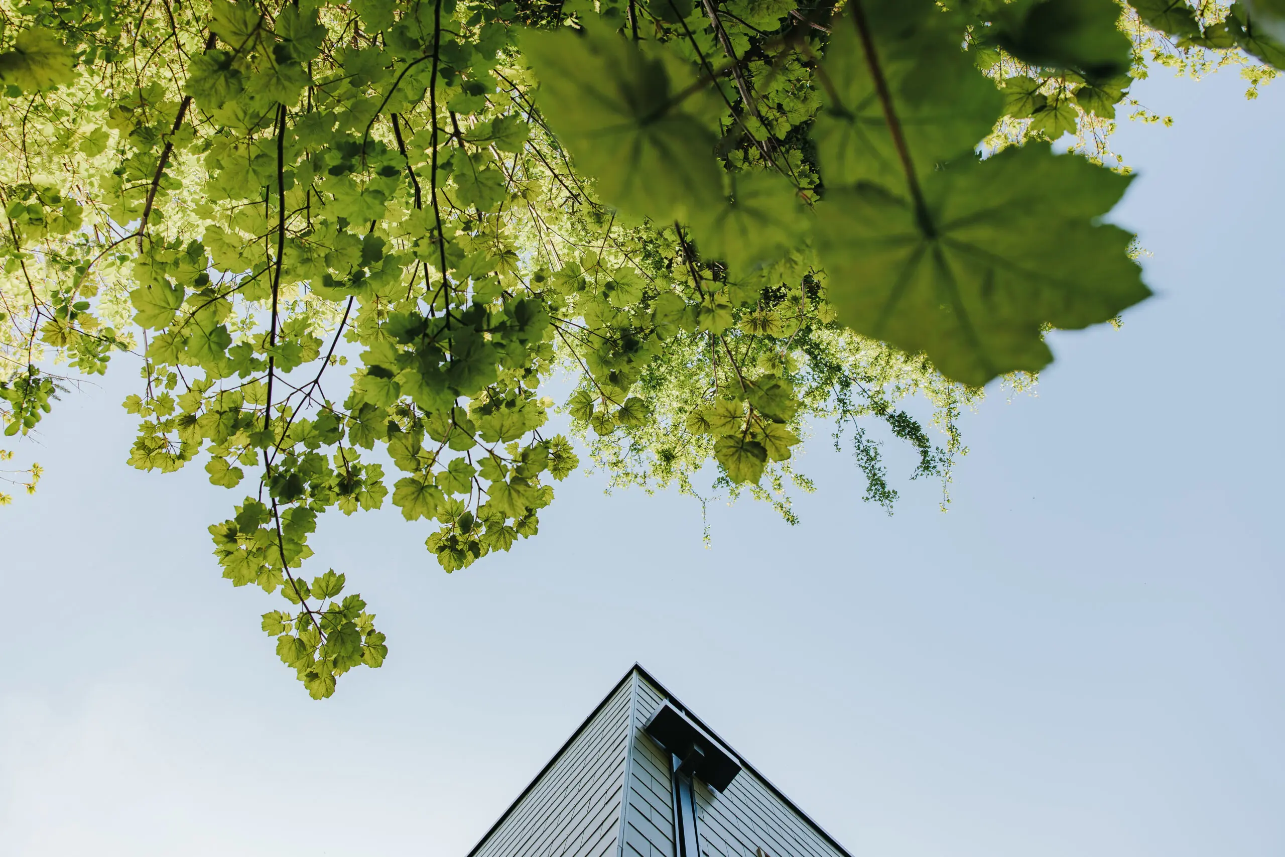 Citu - Sustainable New Build Homes For Sale in Yorkshire